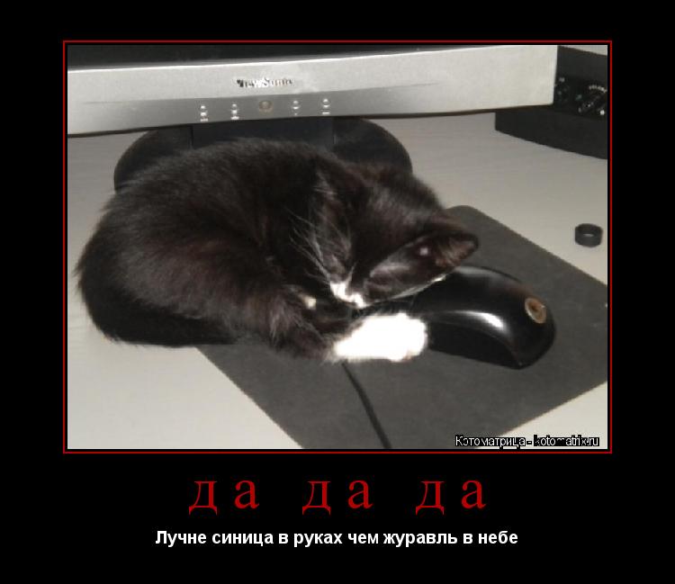 Котоматрица: да да да Лучне синица в руках чем журавль в небе