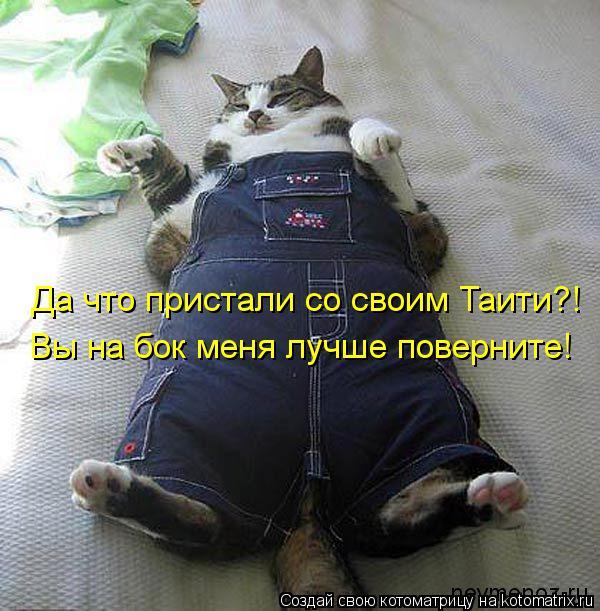 Да что пристали со своим Таити?! Вы на бок меня лучше поверните!... Котоматрица: Да что пристали со своим Таити?! Вы на бок меня лучше поверните!