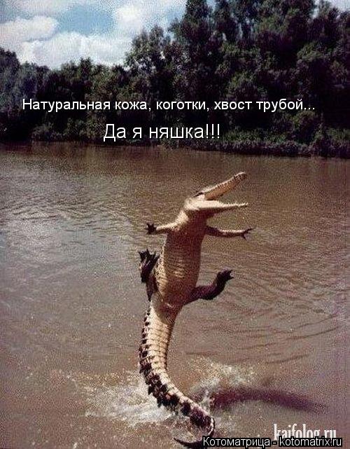 Котоматрица: Натуральная кожа, коготки, хвост трубой... Да я няшка!!!