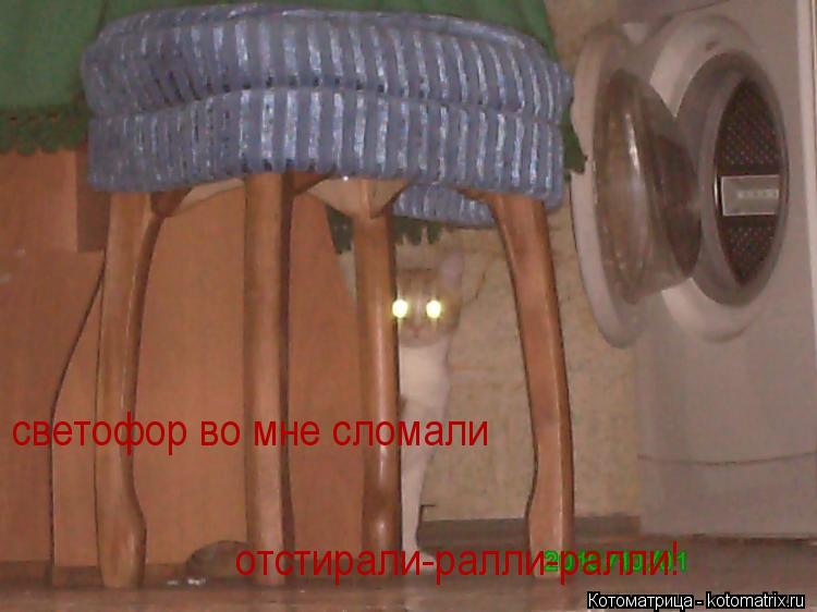 Котоматрица: светофор во мне сломали отстирали-ралли-ралли!