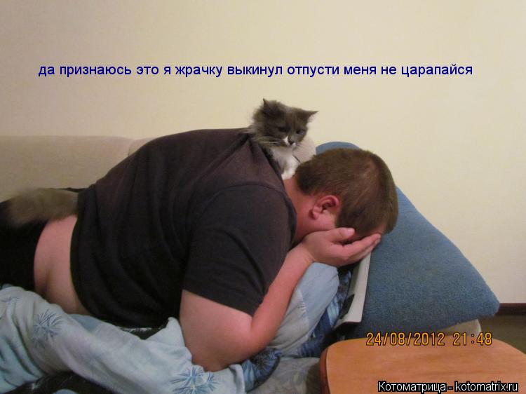 Котоматрица: да признаюсь это я жрачку выкинул отпусти меня не царапайся
