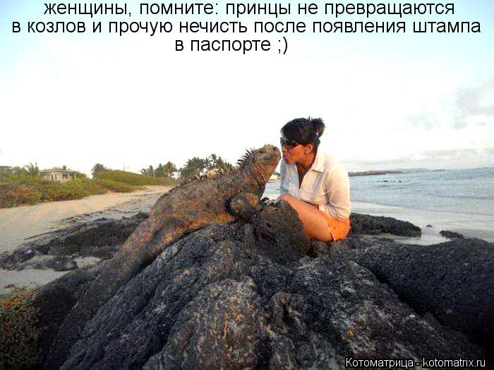 Котоматрица: женщины, помните: принцы не превращаются  в козлов и прочую нечисть после появления штампа в паспорте ;)