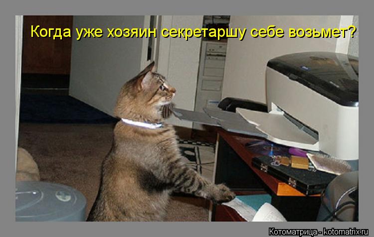 Котоматрица: Когда уже хозяин секретаршу себе возьмет?