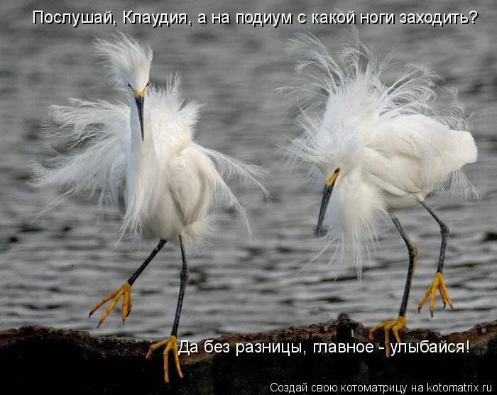 Котоматрица: Послушай, Клаудия, а на подиум с какой ноги заходить? Да без разницы, главное - улыбайся!