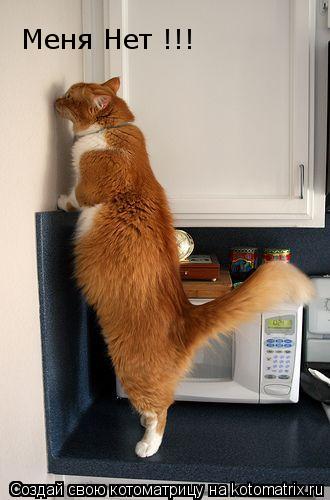 Котоматрица: Меня Нет !!!