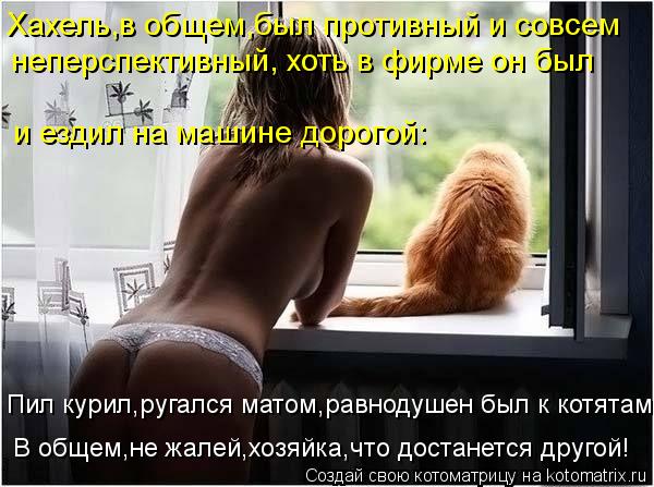 Котоматрица: В общем,не жалей,хозяйка,что достанется другой! Хахель,в общем,был противный и совсем  неперспективный, хоть в фирме он был и ездил на машине