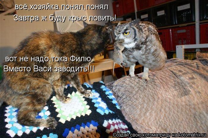 Котоматрица: всё,хозяйка.понял,понял Завтра ж буду крыс ловить! вот не надо тока Филю Вместо Васи заводить!!!