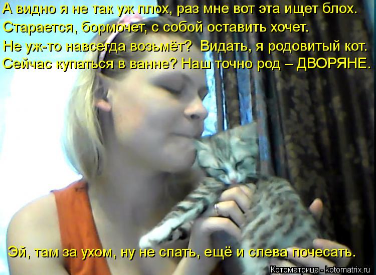 Котоматрица: А видно я не так уж плох, раз мне вот эта ищет блох. Старается, бормочет, с собой оставить хочет. Не уж-то навсегда возьмёт?  Видать, я родовиты