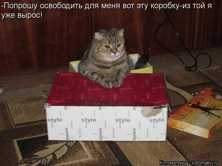 Котоматрица: -Попрошу освободить для меня вот эту коробку-из той я уже вырос!