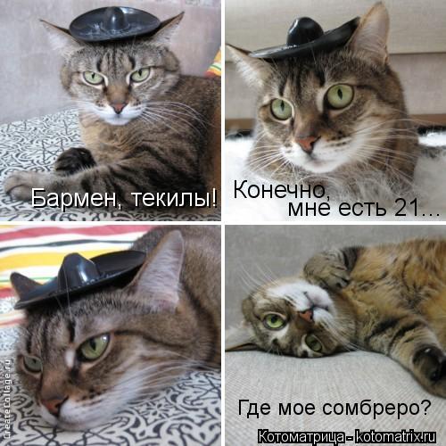 Котоматрица: Бармен, текилы! Конечно, мне есть 21... Где мое сомбреро?