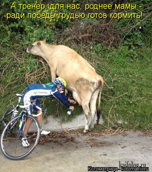 Котоматрица: А тренер, для нас, роднее мамы -  ради победы грудью готов кормить!