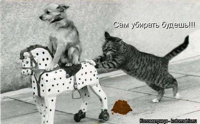 Котоматрица: Сам убирать будешь!!!