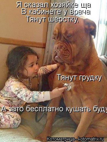 Котоматрица: Я сказал хозяйке ща В кабинете у врача Тянут шёрстку, Тянут грудку А зато бесплатно кушать буду