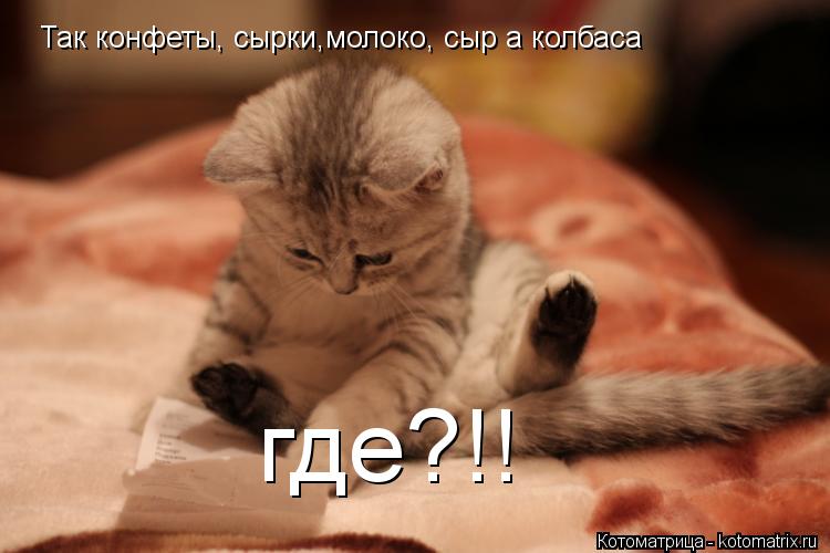 Котоматрица: Так конфеты, сырки,молоко, сыр а колбаса где?!!