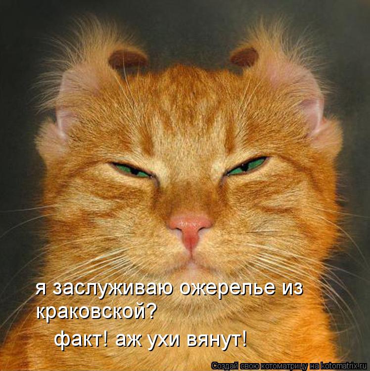 Котоматрица: я заслуживаю ожерелье из краковской? факт! аж ухи вянут!