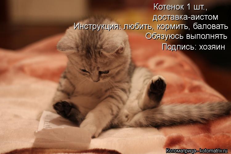 Котенок 1 шт., доставка-аистом Инструкция: любить, кормить, баловать Обязуюсь выполнять Подпись: хоз... Котоматрица: Котенок 1 шт., доставка-аистом Инструкция: любить, кормить, баловать Обязуюсь выполнять Подпись: хозяин