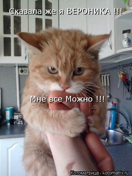 Котоматрица: Сказала же я ВЕРОНИКА !!! Мне все Можно !!!