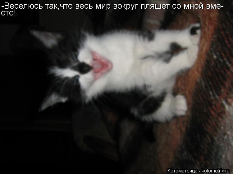 Котоматрица: -Веселюсь так,что весь мир вокруг пляшет со мной вме- сте!