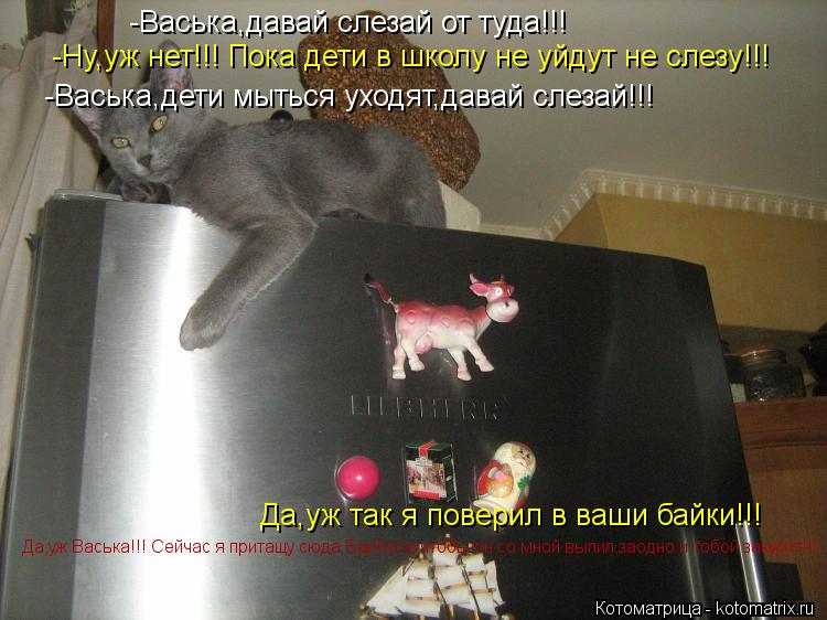 Котоматрица: -Васька,давай слезай от туда!!! -Ну,уж нет!!! Пока дети в школу не уйдут не слезу!!! -Васька,дети мыться уходят,давай слезай!!! Да,уж так я поверил 