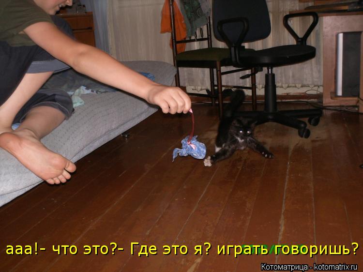 Котоматрица: ааа!- что это?- Где это я? играть говоришь? ааа!- что это?- Где это я? играть говоришь?