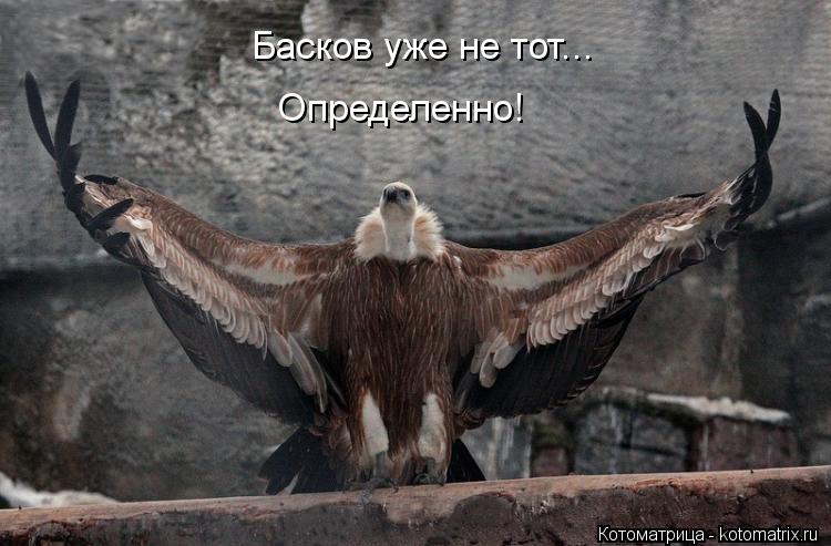 Котоматрица: Басков уже не тот... Определенно!