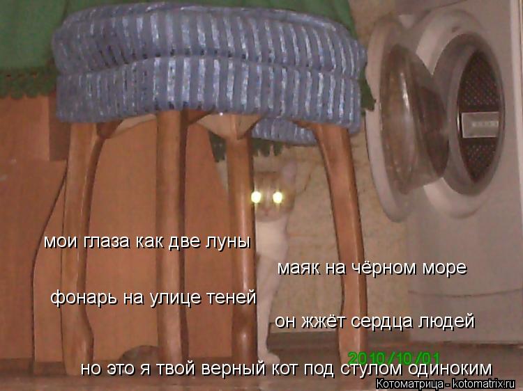 Котоматрица: мои глаза как две луны маяк на чёрном море фонарь на улице теней он жжёт сердца людей но это я твой верный кот под стулом одиноким