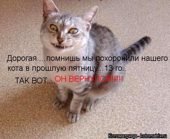 Котоматрица: Дорогая....помнишь мы похоронили нашего кота в прошлую пятницу...13 го.. ТАК ВОТ.... ОН ВЕРНУЛСЯ!!!!!