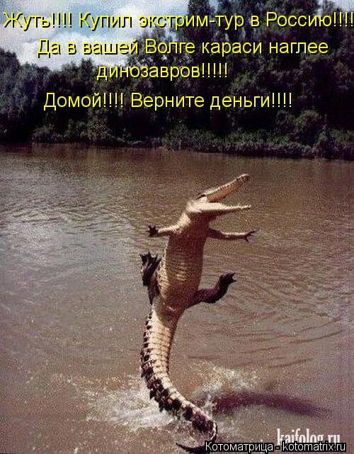 Котоматрица: Жуть!!!! Купил экстрим-тур в Россию!!!!  Да в вашей Волге караси наглее  динозавров!!!!! Домой!!!! Верните деньги!!!!