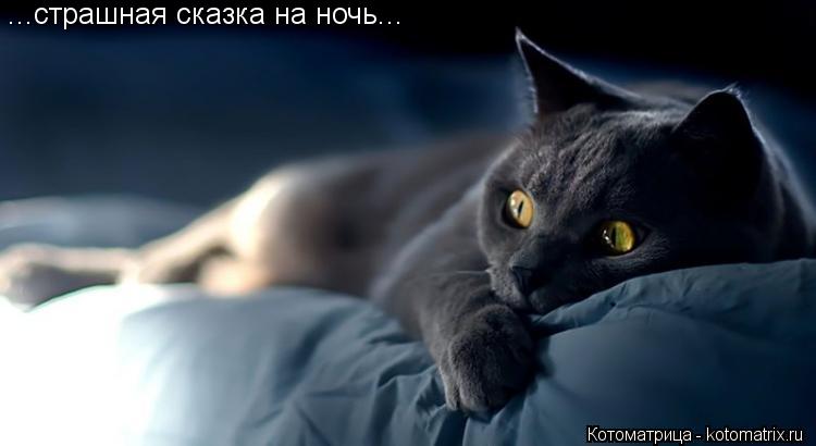 Котоматрица: ...страшная сказка на ночь...