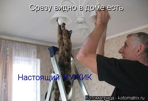 Котоматрица: Сразу видно в доме есть Настоящий МУЖИК