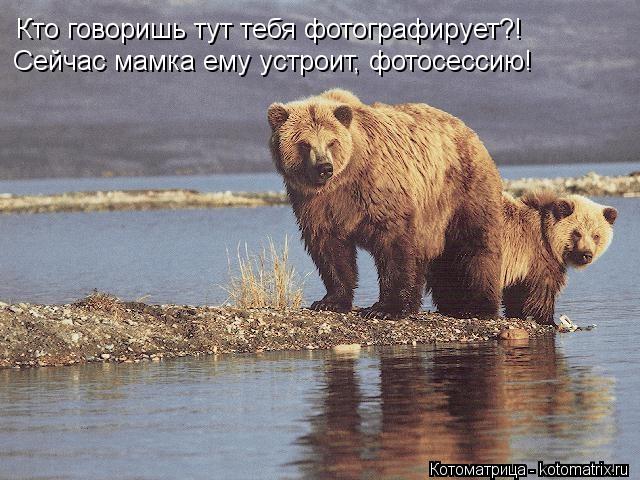Котоматрица: Кто говоришь тут тебя фотографирует?! Сейчас мамка ему устроит, фотосессию!