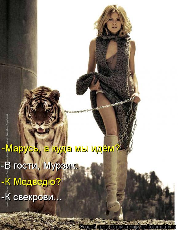 Котоматрица: -Марусь, а куда мы идём?  -В гости, Мурзик. -К Медведю? -К свекрови...