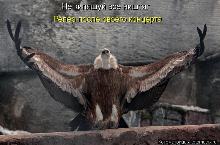 Котоматрица: Репер после своего концерта Не кипяшуй всё ништяг