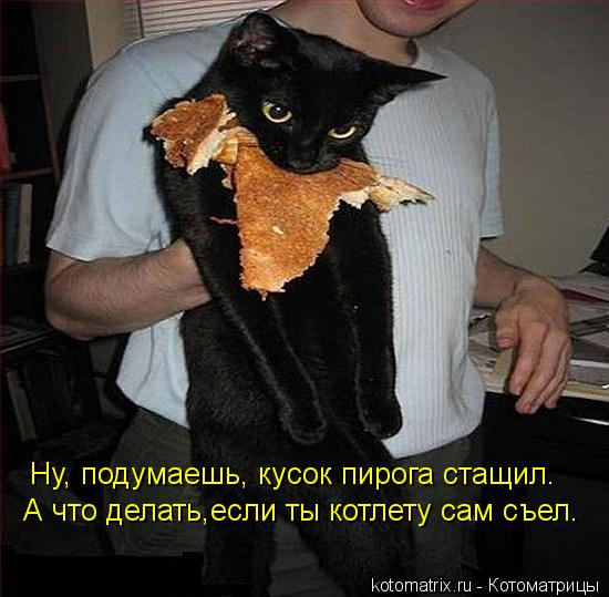 Котоматрица: Ну, подумаешь, кусок пирога стащил. А что делать,если ты котлету сам съел.