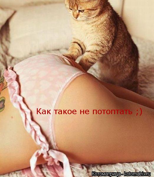 Котоматрица: Как такое не потоптать ;)