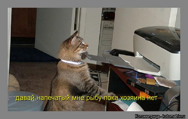 Котоматрица: давай напечатый мне рыбу пока хозяина нет