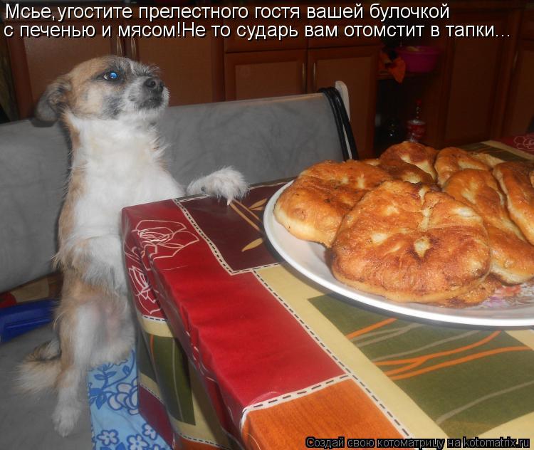 Мсье,угостите прелестного гостя вашей булочкой с печенью и мясом!Не то сударь вам отомстит в тапки...... Котоматрица: Мсье,угостите прелестного гостя вашей булочкой с печенью и мясом!Не то сударь вам отомстит в тапки...