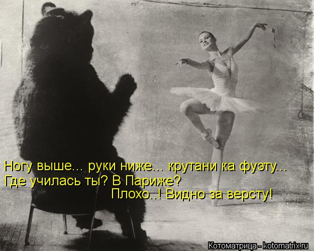 Котоматрица: Ногу выше... руки ниже... крутани ка фуэту...  Где училась ты? В Париже?  Плохо..! Видно за версту!