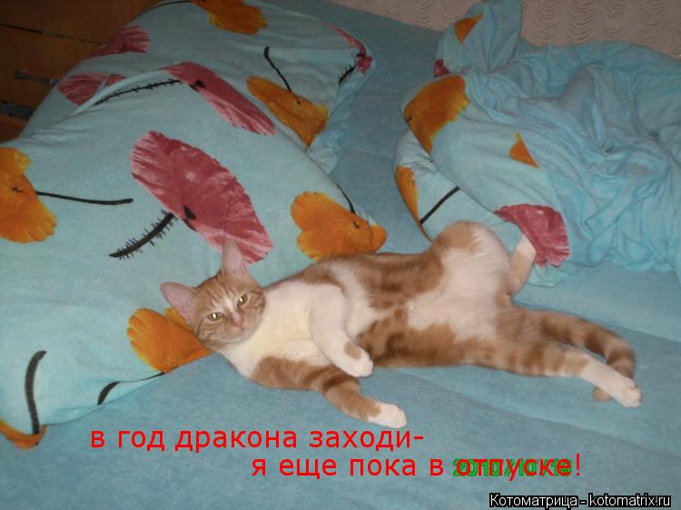Котоматрица: я еще пока в отпуске! в год дракона заходи-