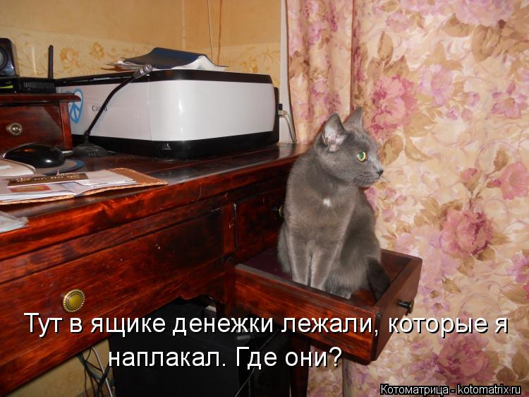 Котоматрица: Тут в ящике денежки лежали, которые я наплакал. Где они?