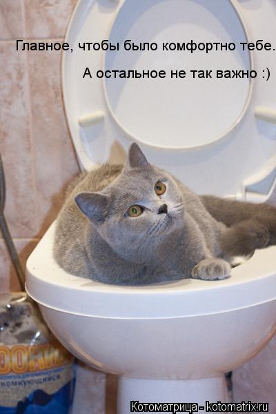 Котоматрица: Главное, чтобы было комфортно тебе. А остальное не так важно :)
