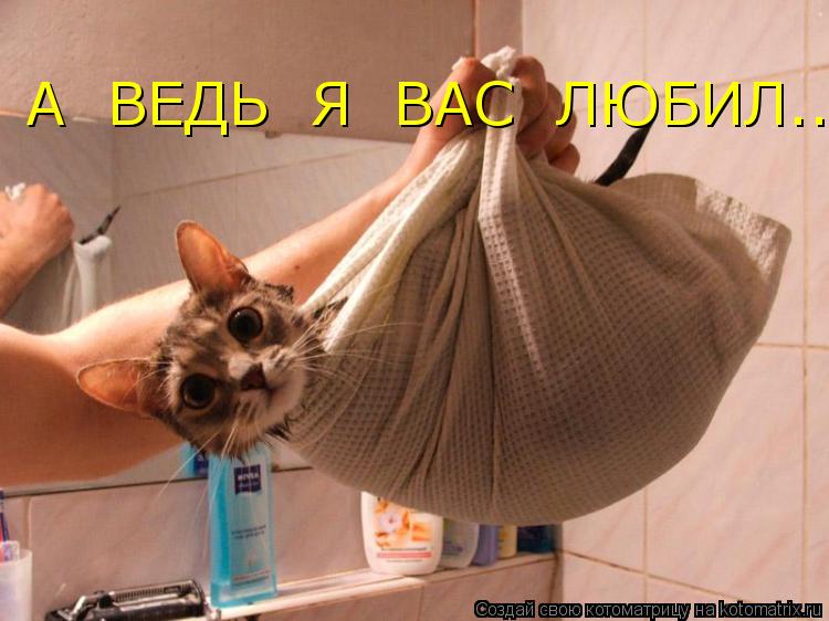 Котоматрица: А  ВЕДЬ  Я  ВАС  ЛЮБИЛ.....