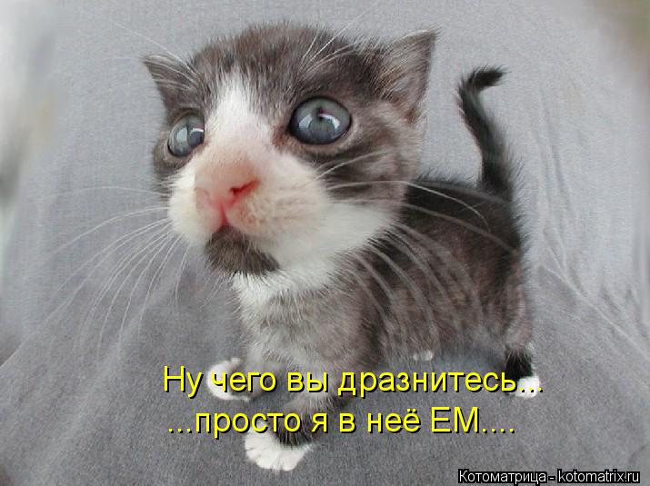 Котоматрица: Ну чего вы дразнитесь... ...просто я в неё ЕМ....