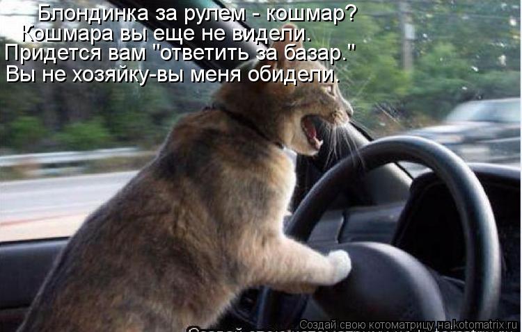 Котоматрица: Блондинка за рулем - кошмар? Кошмара вы еще не видели. Придется вам "ответить за базар." Вы не хозяйку-вы меня обидели.