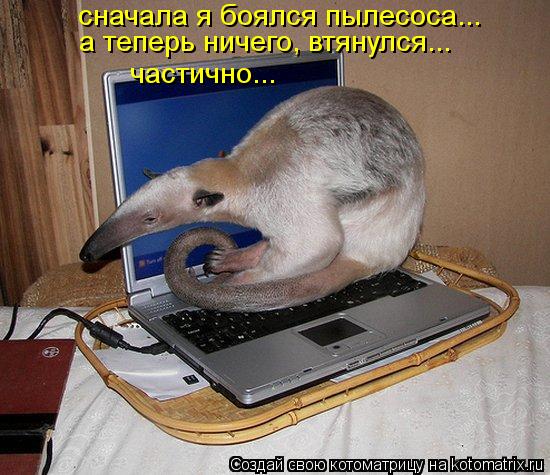 Котоматрица: сначала я боялся пылесоса... а теперь ничего, втянулся... частично...