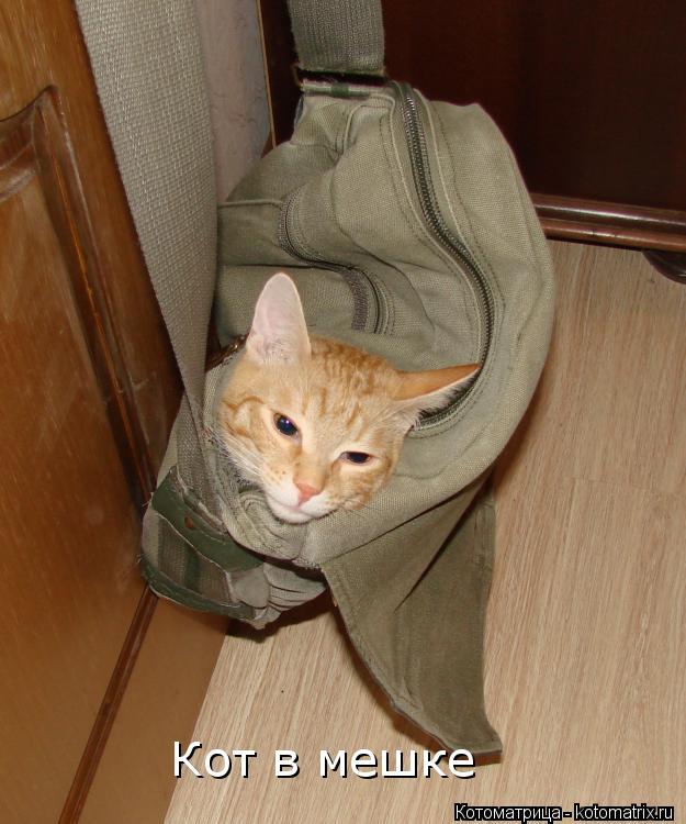 Котоматрица: Кот в мешке