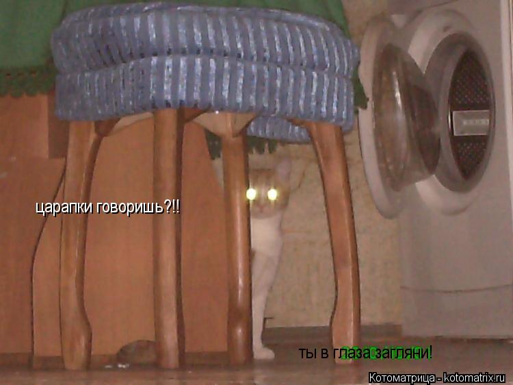 Котоматрица: царапки говоришь?!! ты в глаза загляни!