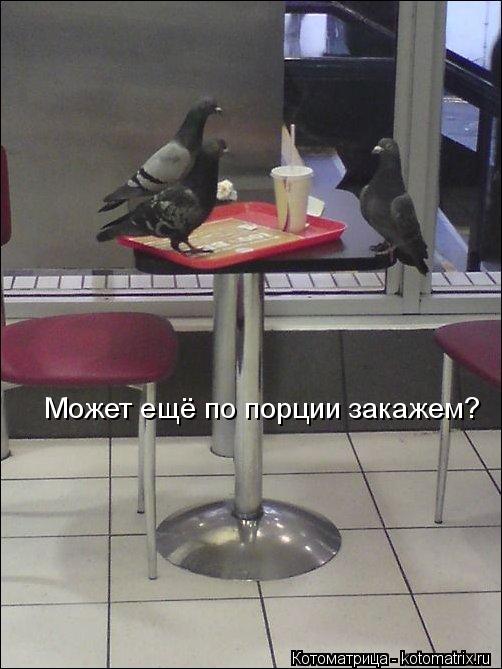 Может ещё по порции закажем?... Котоматрица: Может ещё по порции закажем?