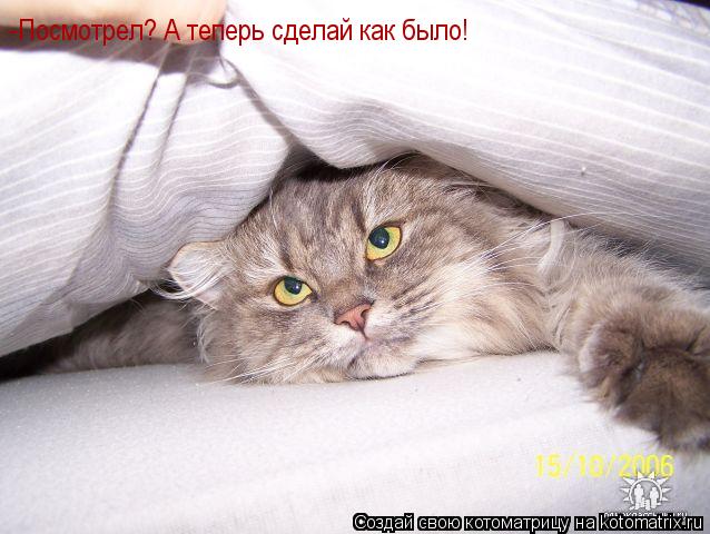 Котоматрица: -Посмотрел? А теперь сделай как было!