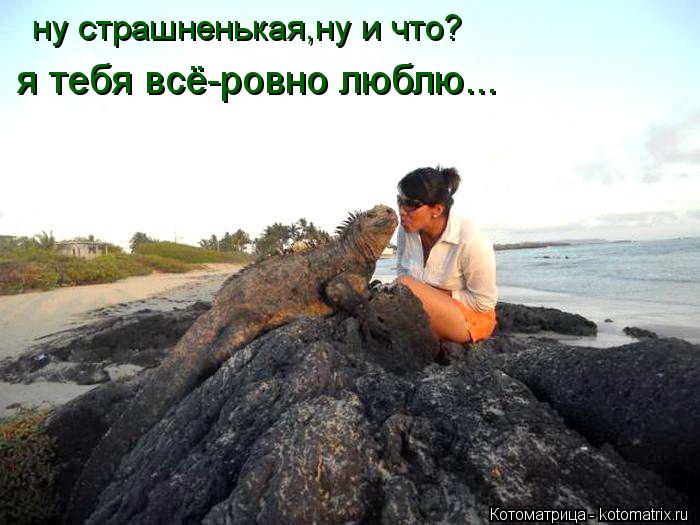 Котоматрица: ну страшненькая,ну и что? я тебя всё-ровно люблю...